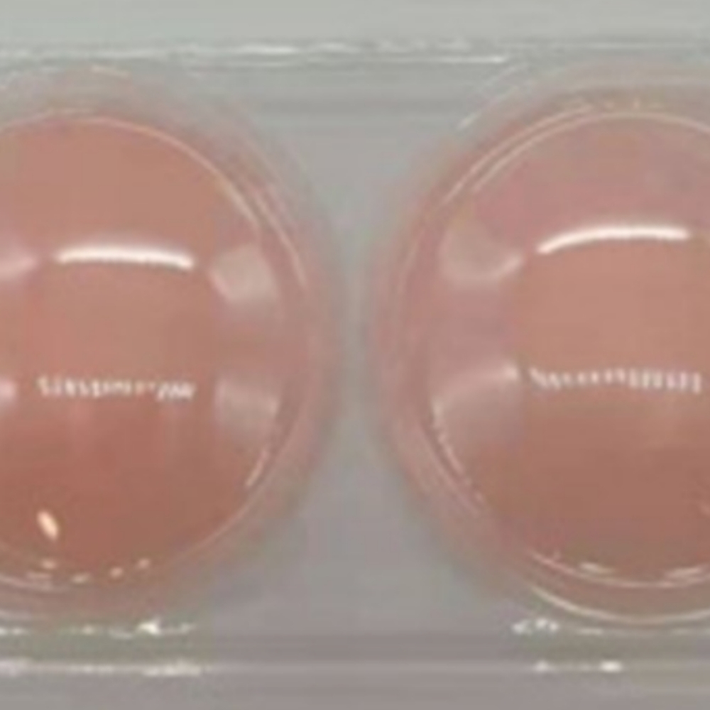 Breast nipple stickies